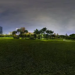 Green grass at night
