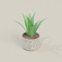 Detailed 3D model of a green indoor plant with leaves in a textured pot, suitable for Blender rendering.