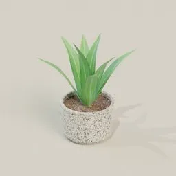 Plant in a stone vase