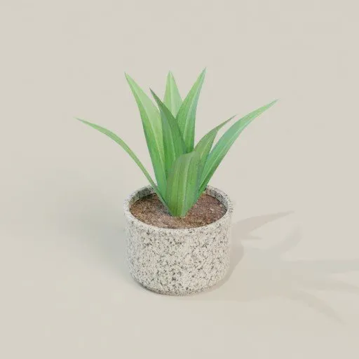 Detailed 3D model of a green indoor plant with leaves in a textured pot, suitable for Blender rendering.