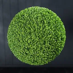 "High-quality 3D model of an artificial ball with grass-like texture for nature-indoor scenes. Can be split into halves and used for various display options, crafted using Blender 3D software and Bagapie geometry nodes. Perfect for creating hyper-realistic indoor natural environments."