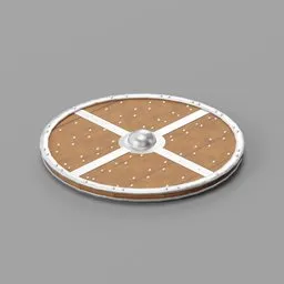 Viking shield