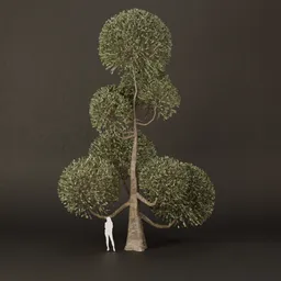 SJ-Ornamental Tree Puff Balance