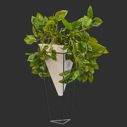 Potted Golden Pothos