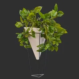 Potted Golden Pothos