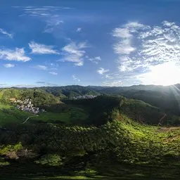 During the day, hills, fields, and woods