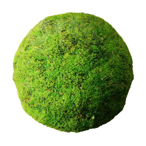 Moss