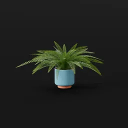 Tropical Fern Med Pot