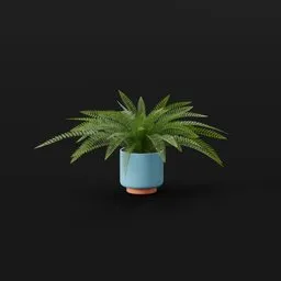 Tropical Fern Med Pot