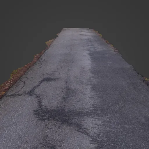Detailed 3D model of concrete walking path with texture variation, optimized for Blender environments.