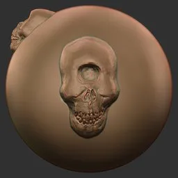 Creature Skull