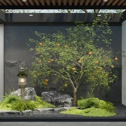 Japanese Pomegranate Garden