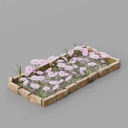 Purple Daisy Garden Bed