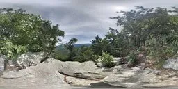 Bluesky Mountain Tree Green