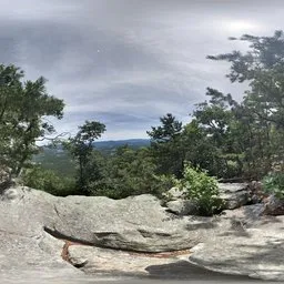 Bluesky Mountain Tree Green