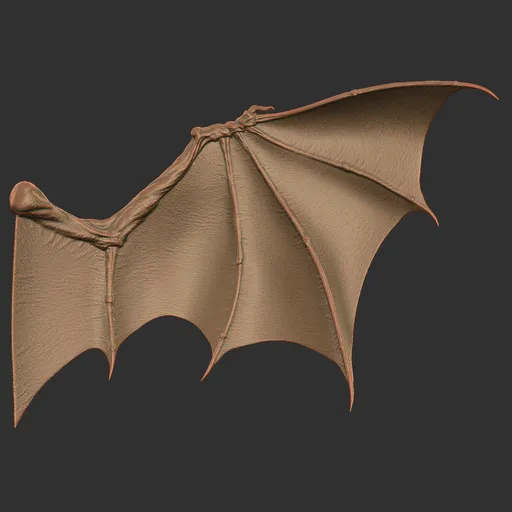 High Arched Dragon Wing
