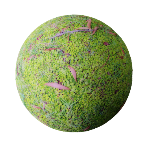 Thumbnail: RoundLeafGrass