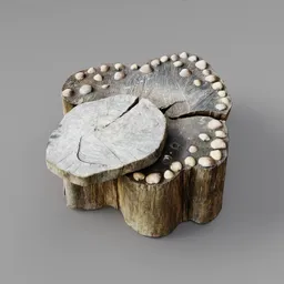 Wooden Table with Shells