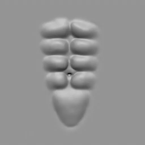 ER_Muscle brush 29