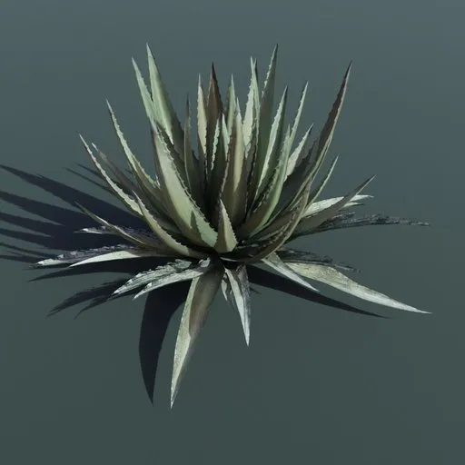 Realistic agave 3D model with detailed textures for architectural visualization and gaming, Blender compatible.