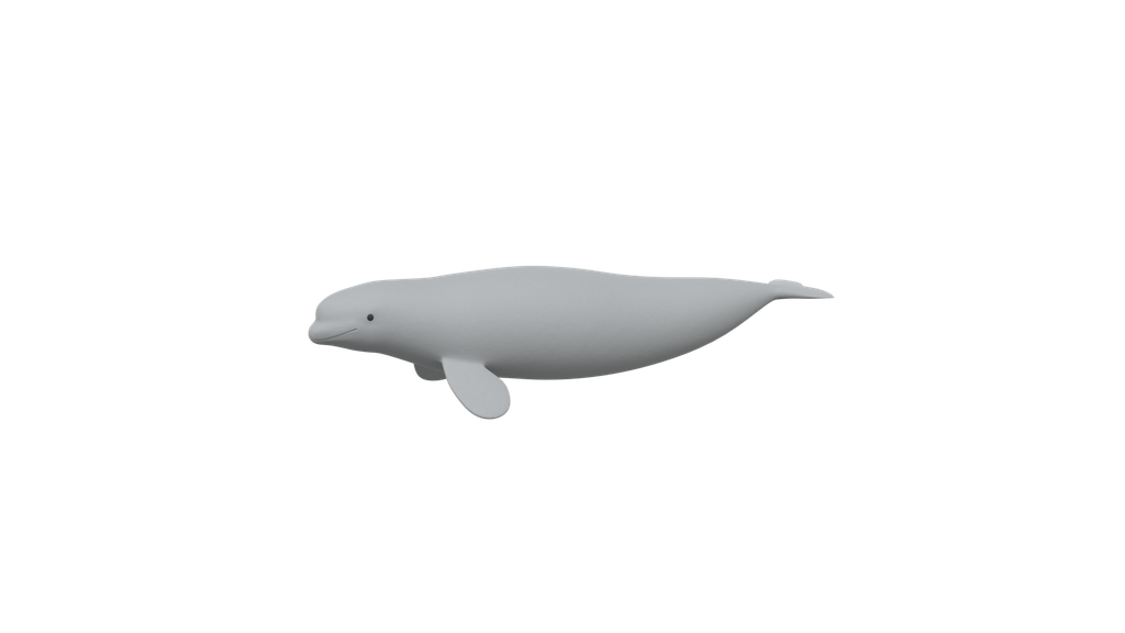 Cartoon Beluga Whale | Mammals models | BlenderKit