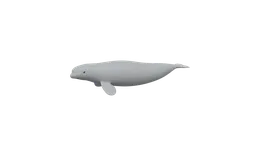 Cartoon-style 3D beluga whale model optimized for CG visuals, made with quads for Blender rendering.