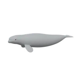 Cartoon Beluga Whale