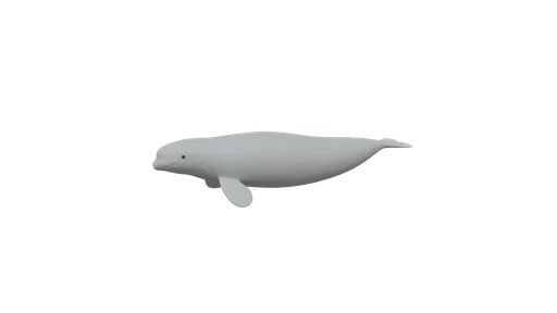 Cartoon-style 3D beluga whale model optimized for CG visuals, made with quads for Blender rendering.