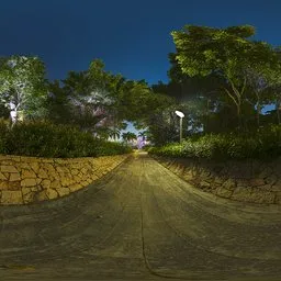 Road at night