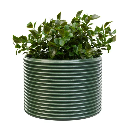 Verdant Bush