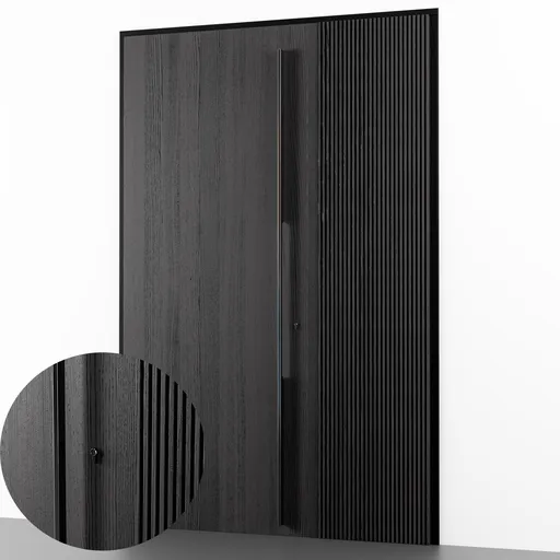 Black modern entrance door