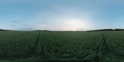 360-degree HDR panorama of a sunset over an industrial landscape, perfect for realistic lighting in 3D scenes.