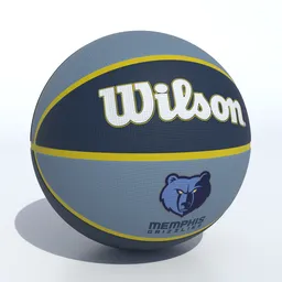 Wilson Memphis Grizzlies Basketball