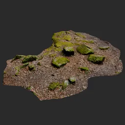 Mossy forest floor photoscan