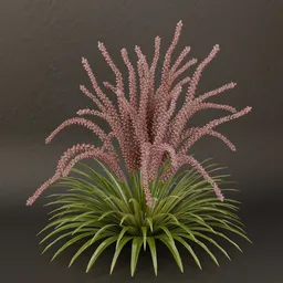 SJ-Seraphic Glow Shrub