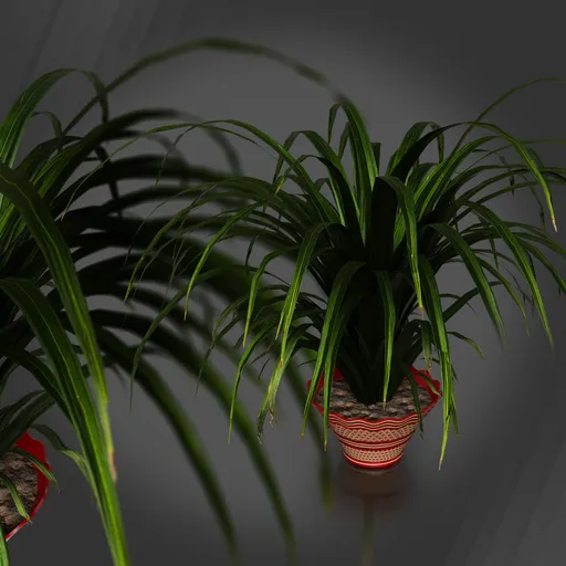 Decorative Vase