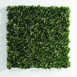 "Fitowall artificial garden wall panel in Blender 3D, featuring thick green bushes and endless grass. Customize the shape and dimensions in edit mode. Created using Geometry nodes and the Bagapie addon for optimized viewport performance."