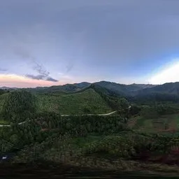 Fields, woods, sunrise