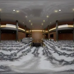 Modern Luxury Hall Interior