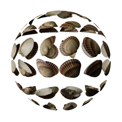 Seashell Atlas
