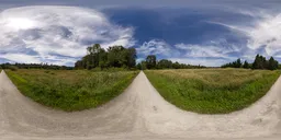 Path Green Park Sunny Day