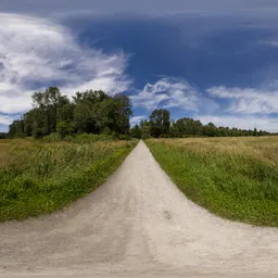 Path Green Park Sunny Day