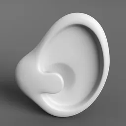 "Ear cartoon: A high-quality, monochrome 3D model with a curved design resembling a white object. Perfect for Blender 3D software, this realistic shading depicts a left ear in a cartoon style, ideal as a base for various projects."
