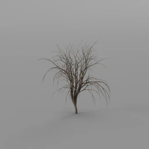 Tree without leaves