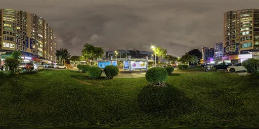 Grassland at night