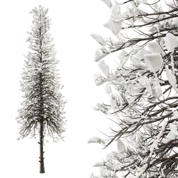 Snow-covered 3D pine tree model with realistic textures for Blender Cycles rendering, available in .blend format.