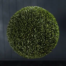 Realistic 3D model of a lush green artificial ball topiary, suitable for interior design and landscaping in Blender.