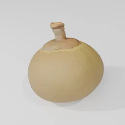 Chupa Chupa