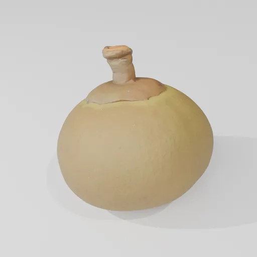 Chupa Chupa