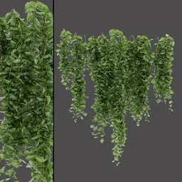 Cascading Vine Cluster